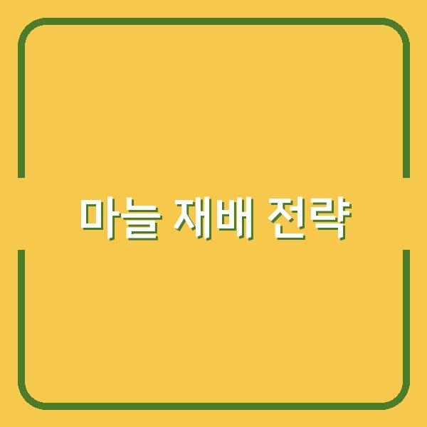 한지형·난지형 마늘 심는 시기와 재배 방법, 수확량 높이는 핵심 전략