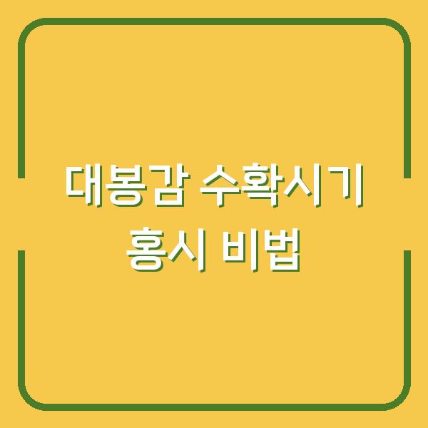 대봉감 수확시기 놓치면 후회하는 홍시 만드는 법