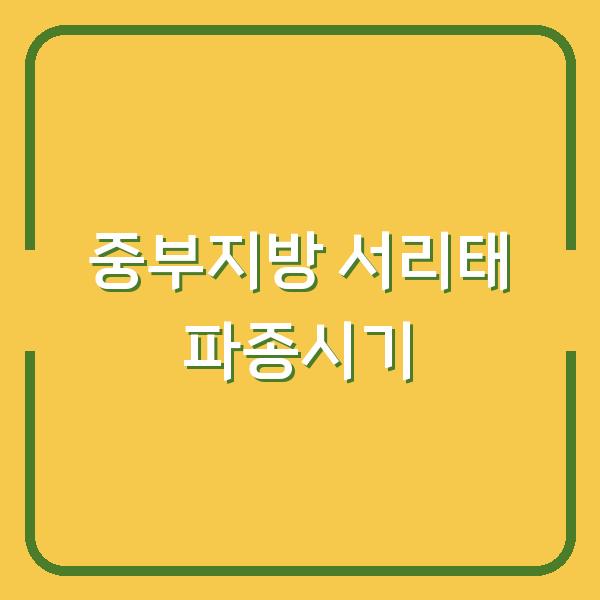 중부지방 서리태, 지금 심으면 늦지 않습니다 – 파종시기와 재배법, 효능까지