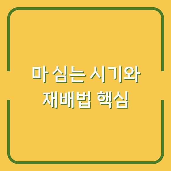 마 심는 시기 놓치면 수확량 반토막? 하늘마·산마 재배법 3가지 핵심