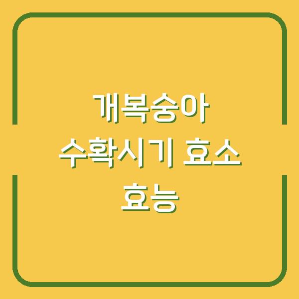 개복숭아 수확시기 놓치면 효소 효능 반토막? 지금 바로 담그세요
