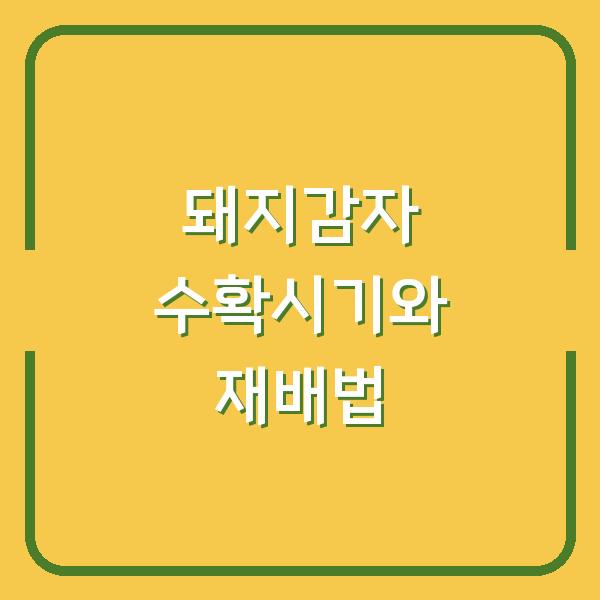 돼지감자 수확시기 놓치면 독이 되는 이유와 제대로 키우는 재배법