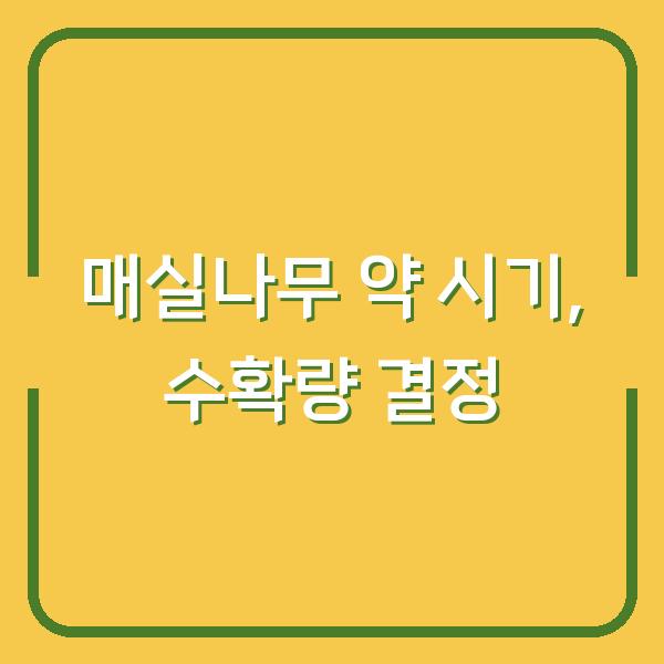 매실나무 약 치는 시기 놓치면 병충해와 수확량이 달라집니다