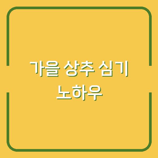 가을 상추 심는 시기, 10월까지 수확 늘리는 파종·모종·비료·물주기 노하우