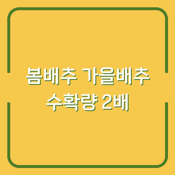봄배추 vs 가을배추, 심는 시기 달라도 이렇게만 하면 수확량 2배