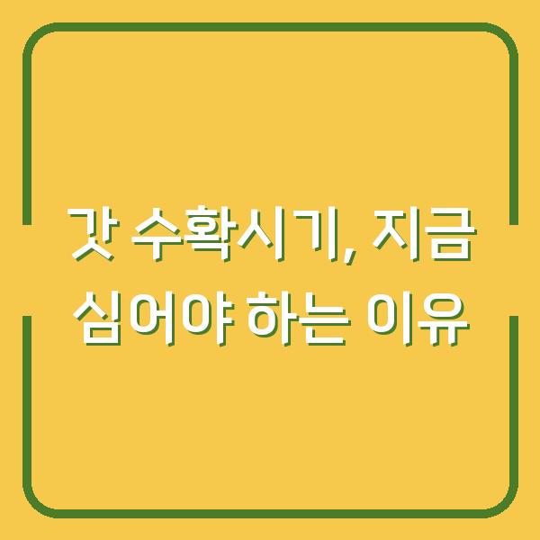 갓 수확시기 놓치면 쓴맛 나요, 지금 심어야 하는 이유