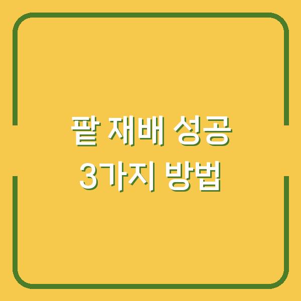 팥 심는 시기부터 수확까지, 한 번에 성공하는 재배 방법 3가지