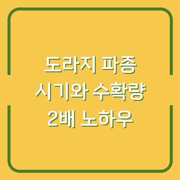 도라지 심는 시기와 파종 방법, 수확량 2배 높이는 현장 노하우