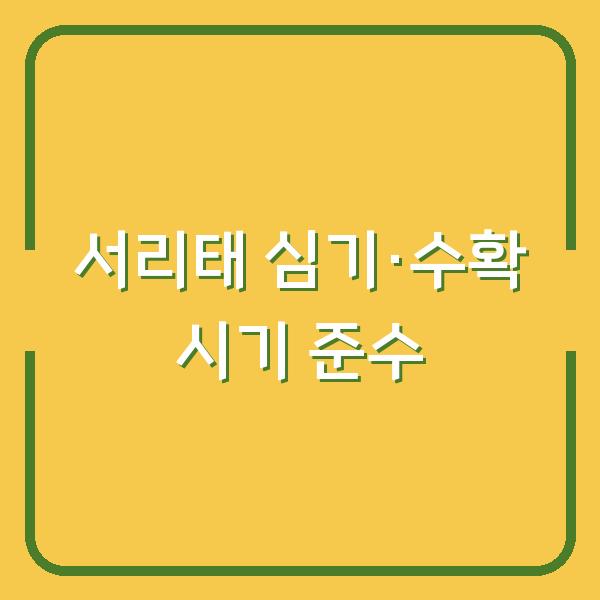 서리태 심는 시기와 수확 시기, 제대로 지켜야 수확량 두 배