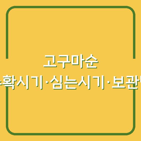 고구마순, 지금 캐면 망칩니다 – 수확시기·심는 시기·보관법 핵심만