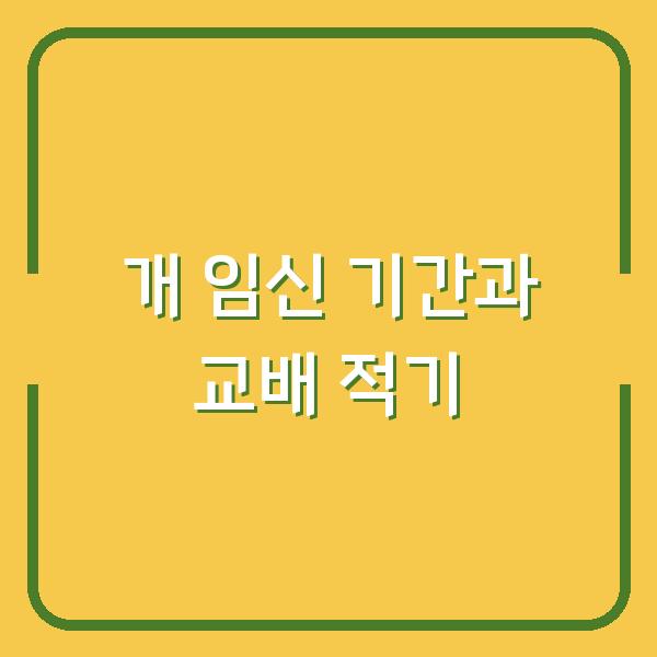개 임신 기간, 놓치면 안 되는 교배 적기와 임신 신호