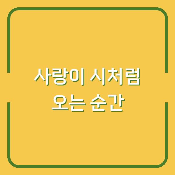 사랑이 시처럼 오는 순간 당신의 마음은 어떤 감정을 선택하나요?