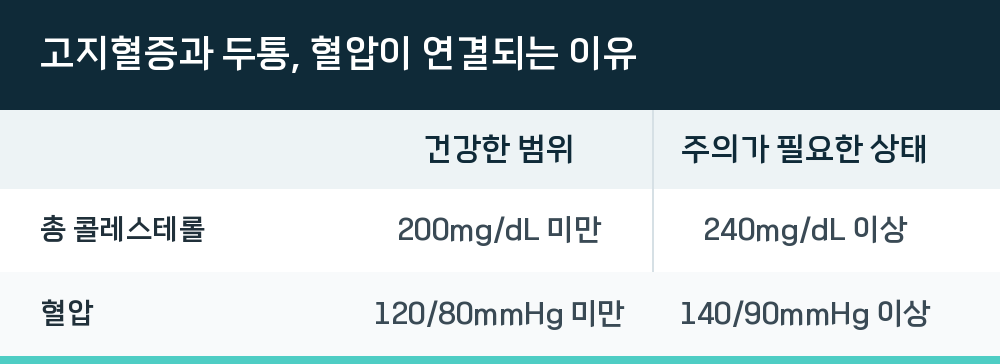 고지혈증과 두통, 혈압이 연결되는 이유