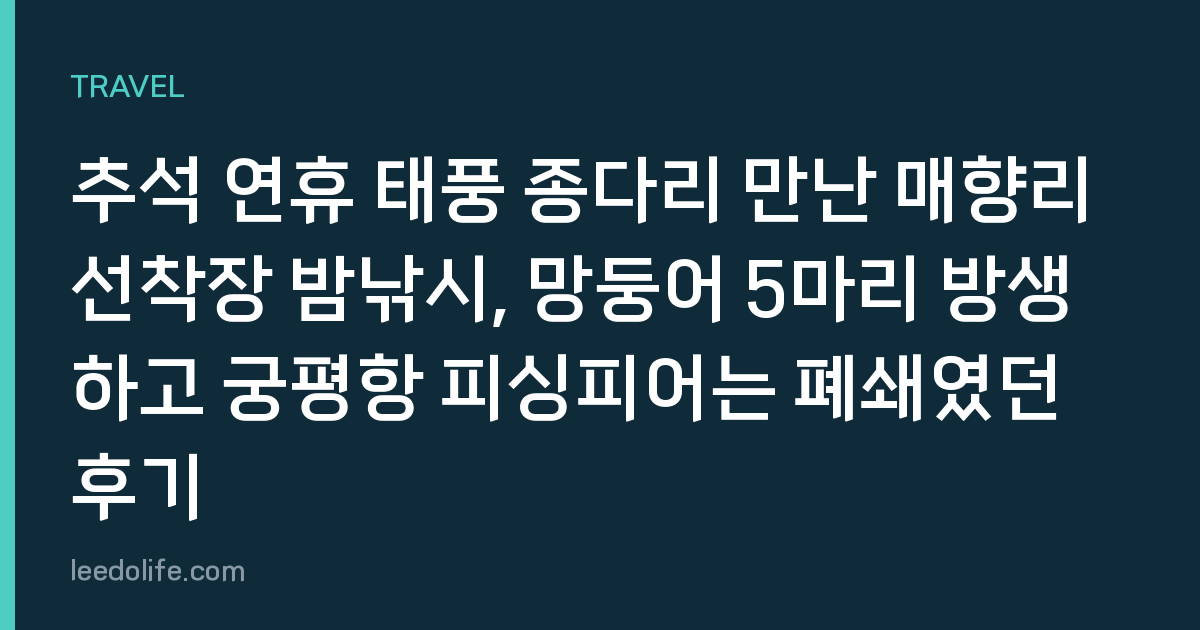 추석 연휴 태풍 종다리 만난 매향리 선착장 밤낚시, 망둥어 5마리 방생하고 궁평항 피싱피어는 폐쇄였던 후기