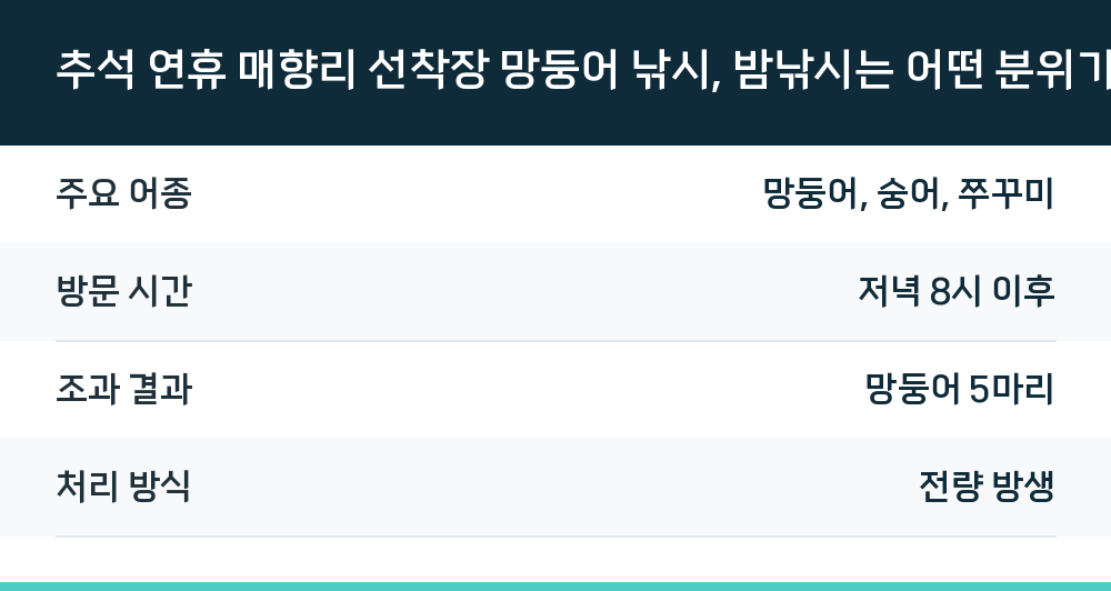 추석 연휴 매향리 선착장 망둥어 낚시, 밤낚시는 어떤 분위기일까