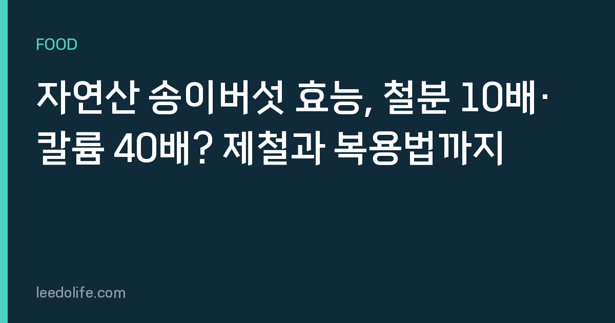 자연산 송이버섯 효능, 철분 10배·칼륨 40배? 제철과 복용법까지
