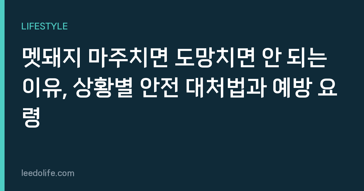 멧돼지 마주치면 도망치면 안 되는 이유, 상황별 안전 대처법과 예방 요령