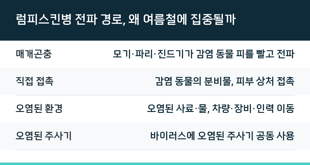럼피스킨병 전파 경로, 왜 여름철에 집중될까