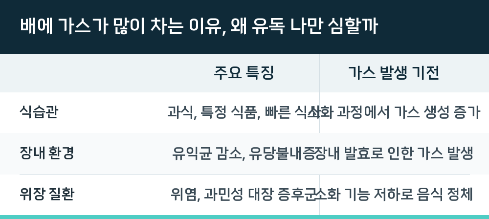 배에 가스가 많이 차는 이유, 왜 유독 나만 심할까