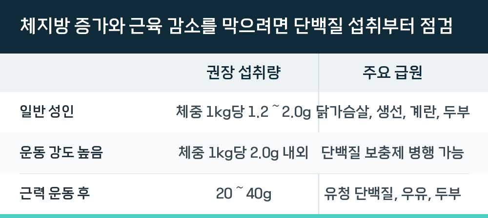 체지방 증가와 근육 감소를 막으려면 단백질 섭취부터 점검