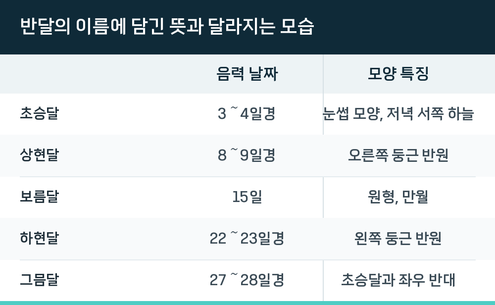 반달의 이름에 담긴 뜻과 달라지는 모습