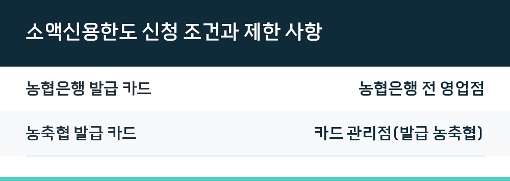 소액신용한도 신청 조건과 제한 사항