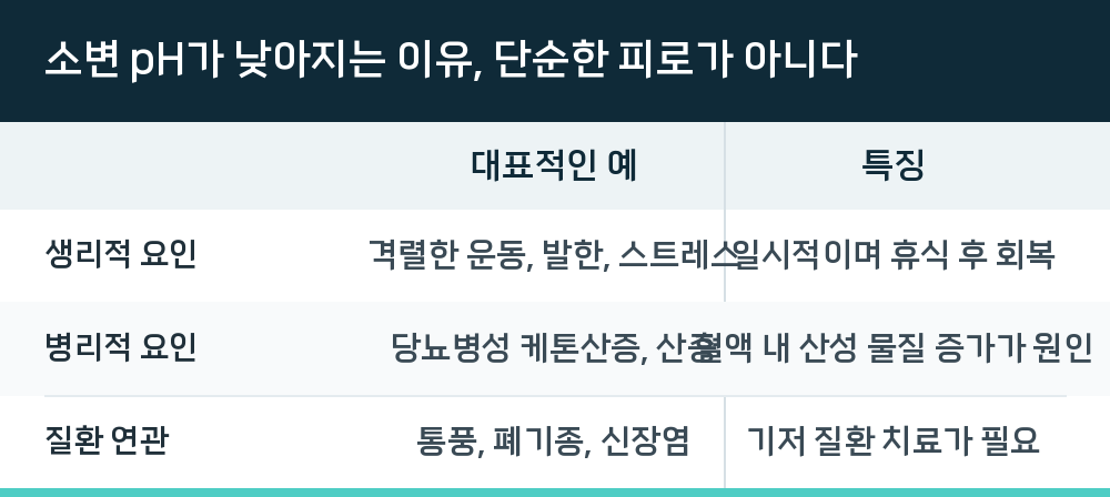 소변 pH가 낮아지는 이유, 단순한 피로가 아니다